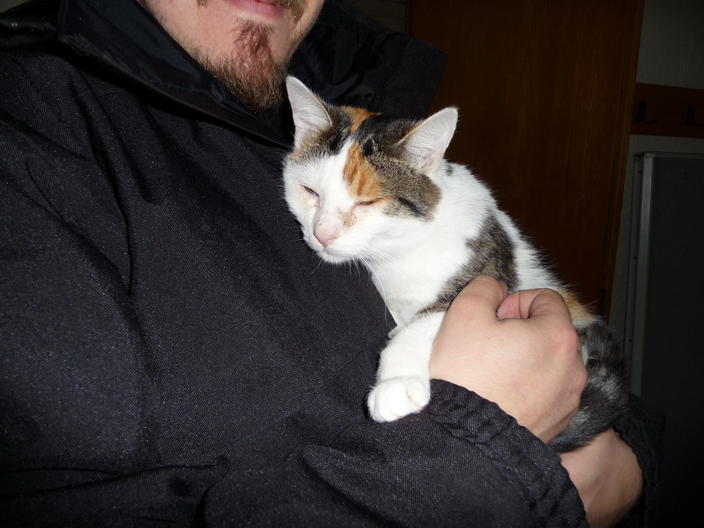 Buchenau 2008 (37).JPG